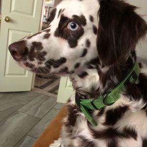 Meet your Posher, Almina